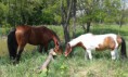 /album/fotogaleria/a10393913-984976841533428-8880006832310047039-n-jpg/