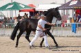 /album/fotogaleria/a11903974-1039082572789521-658732681279129780-n-jpg/